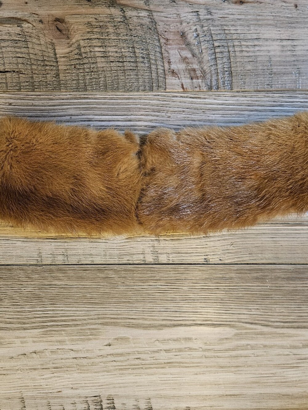 Vintage Fox Collar